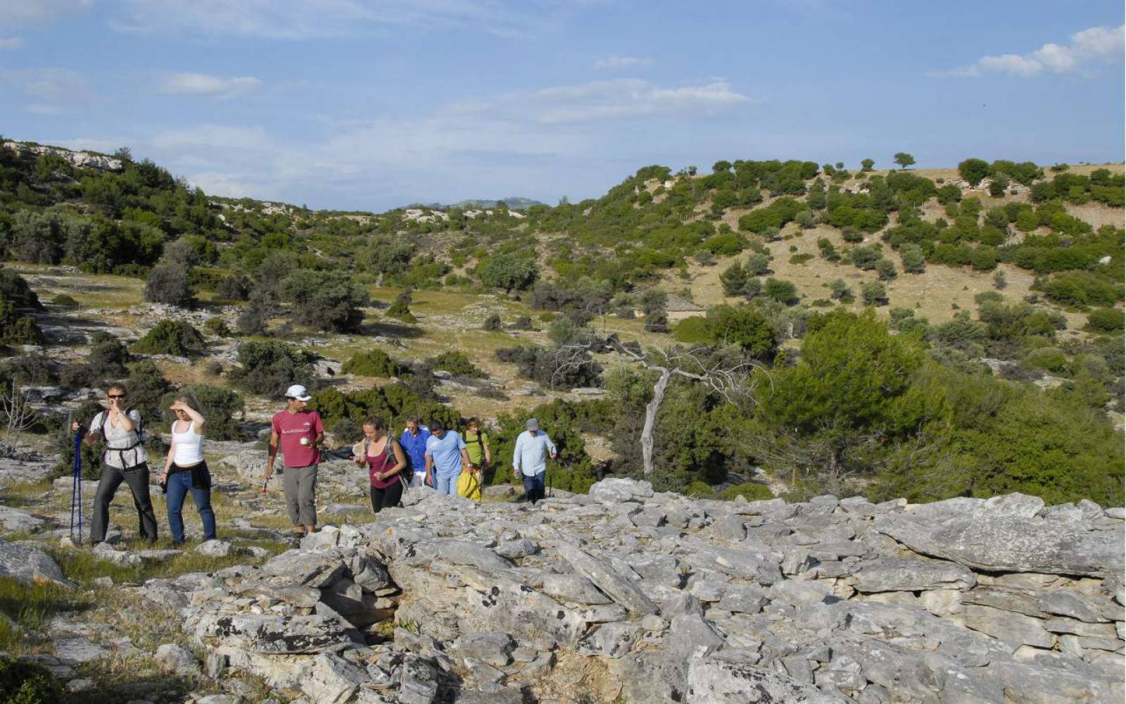 Δραστηριότητες